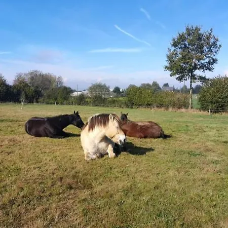 Les Sources Club Apportez Votre Tente Campingplatz *