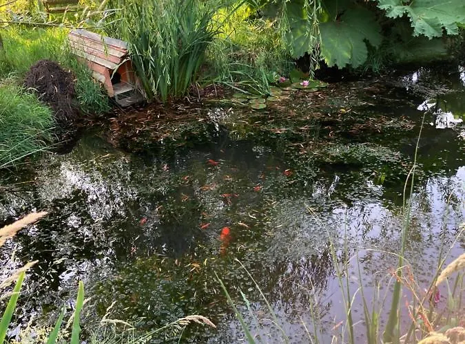 Camping Les Sources Club Apportez Votre Tente Les Cresnays