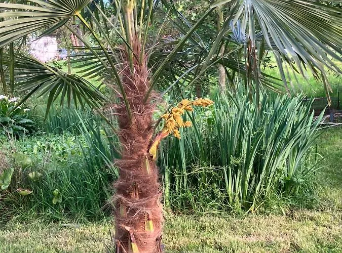 Camping Les Sources Club Apportez Votre Tente Les Cresnays