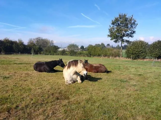 Les Sources Club Apportez Votre Tente Camping *